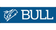BULL