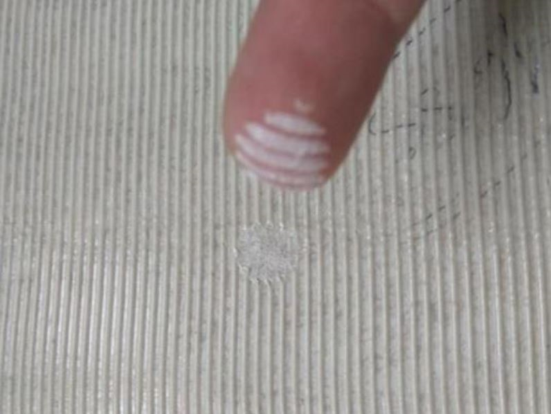 palets.png palets.png