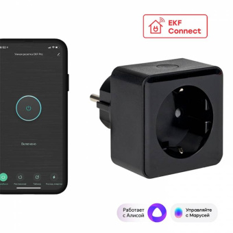 Умная розетка Wi-Fi PRO EKFHomeСonnect, черный (RCS-2-WF)   	EKF