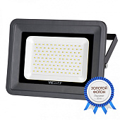 Прожектор светодиодный 100Вт 5500К WFL-100W/06 SMD черный WOLTA