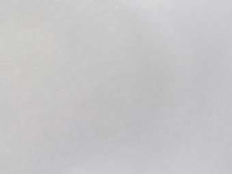 Флизелиновый холст Elysium Е59130 130 гр/кв.м  1.06*25м