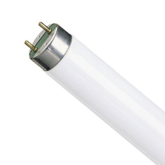 ЛАМПА ЛЮМ.L18W/765 G13 холодная Osram (упак.25) новый дизайн упаковки ЛАМПА ЛЮМ.L18W/765 G13 холодная Osram (упак.25) новый дизайн упаковки