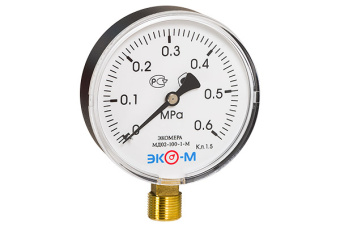 Манометр 100мм 0.6МПа М20*1,5  (Эконом) "Экомера"