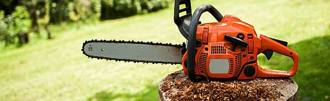 Какую пилу купить для дома – электрическую или бензиновую?