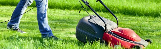 Триммеры и газонокосилки – электрические, бензиновые. Выбираем инструмент для стрижки травы